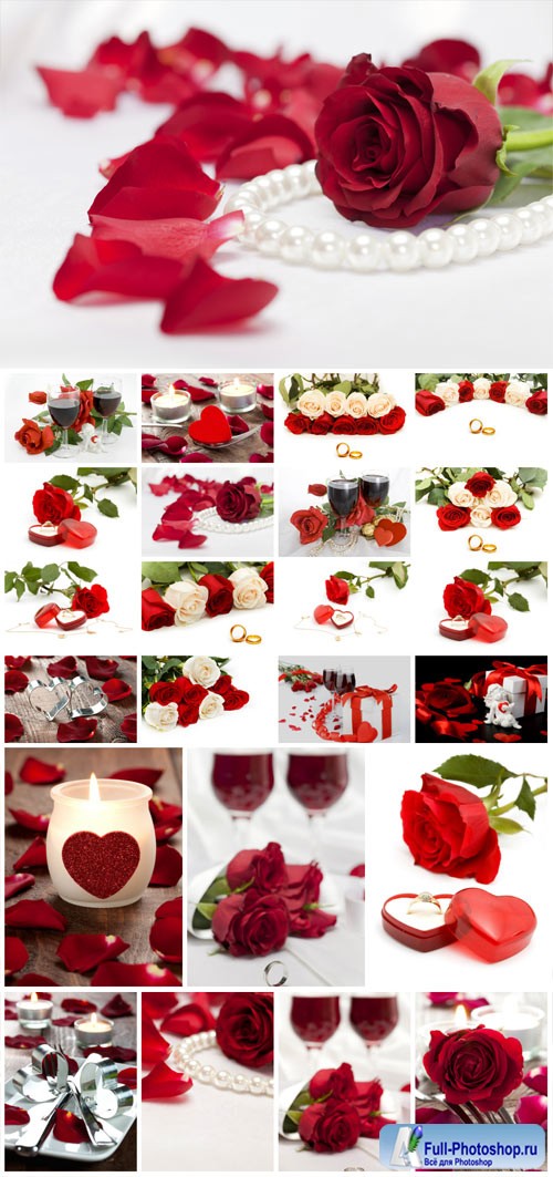 Romantic stock photos with roses and rings