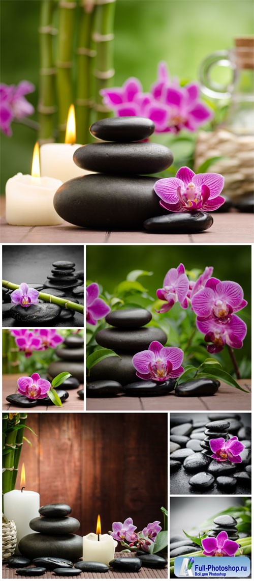 Orchids and spa stones stock photo