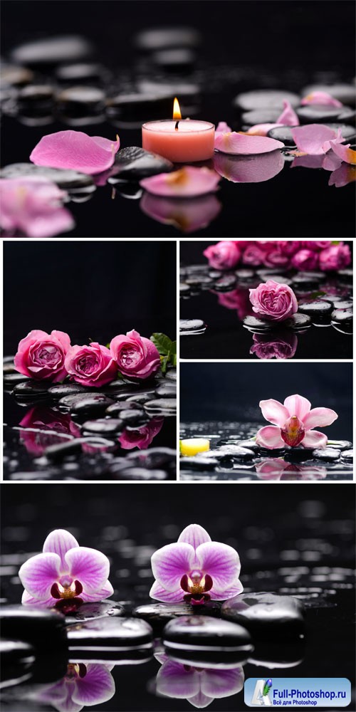 Orchid, roses and spa stones stock photo