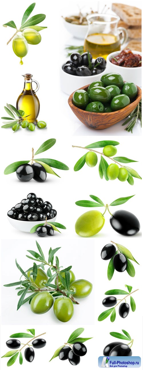 Sprigs with olives, olive oil stock photo