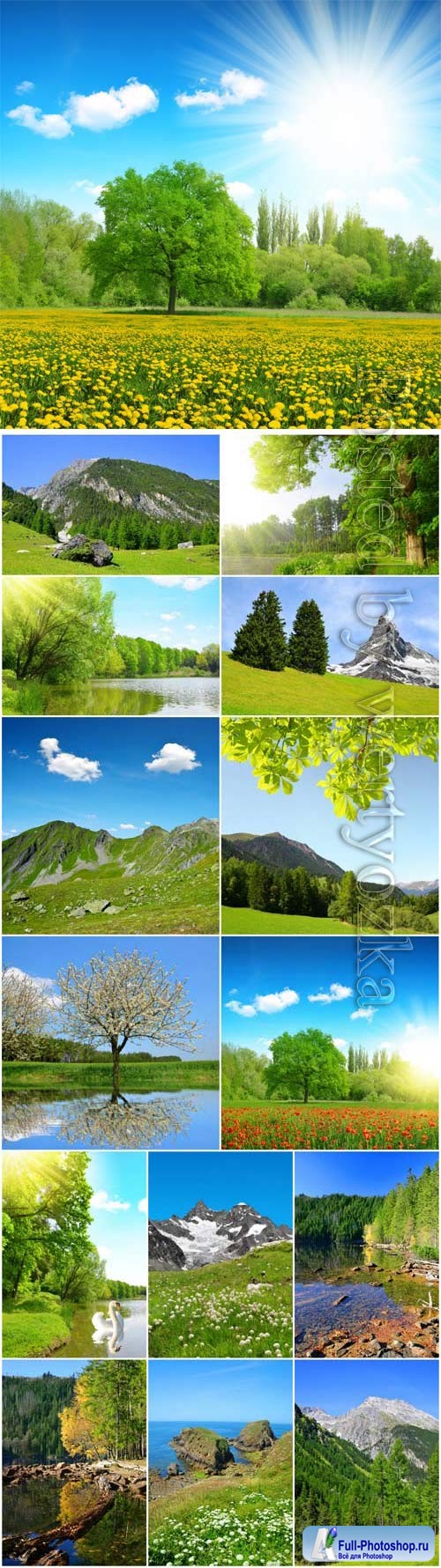 Beautiful nature in summer season stock photo