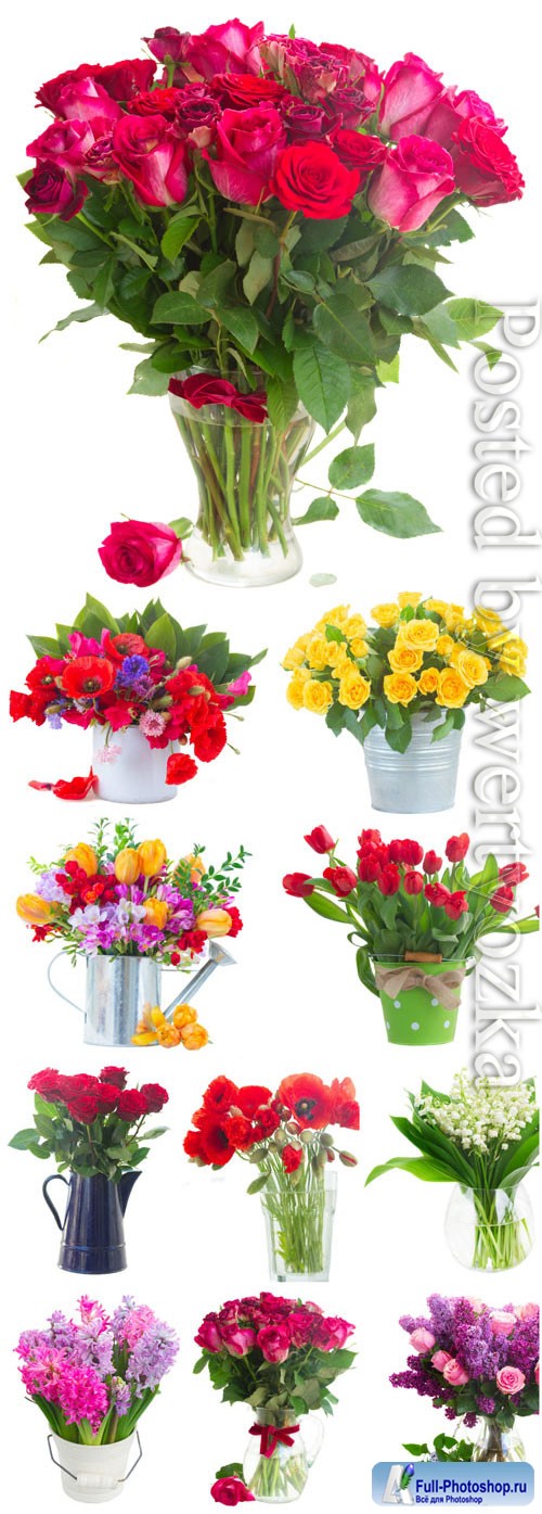 Roses, tulips, poppies, and hyacinths stock photo