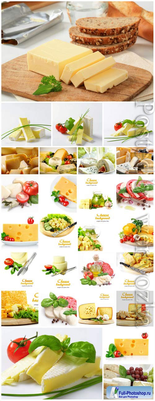 Cheese and vegetables stock photo