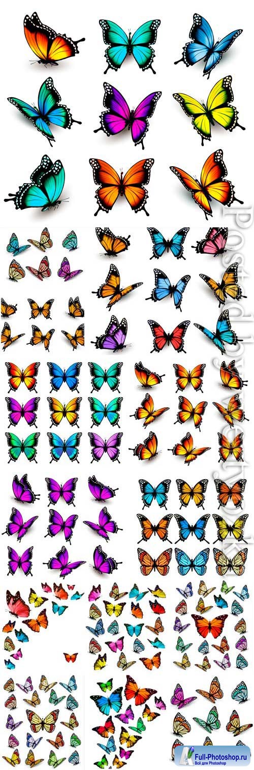 Butterflies of different colors and types in vector