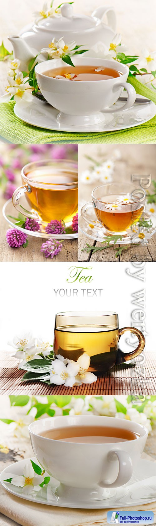 Fruit berry tea stock photo