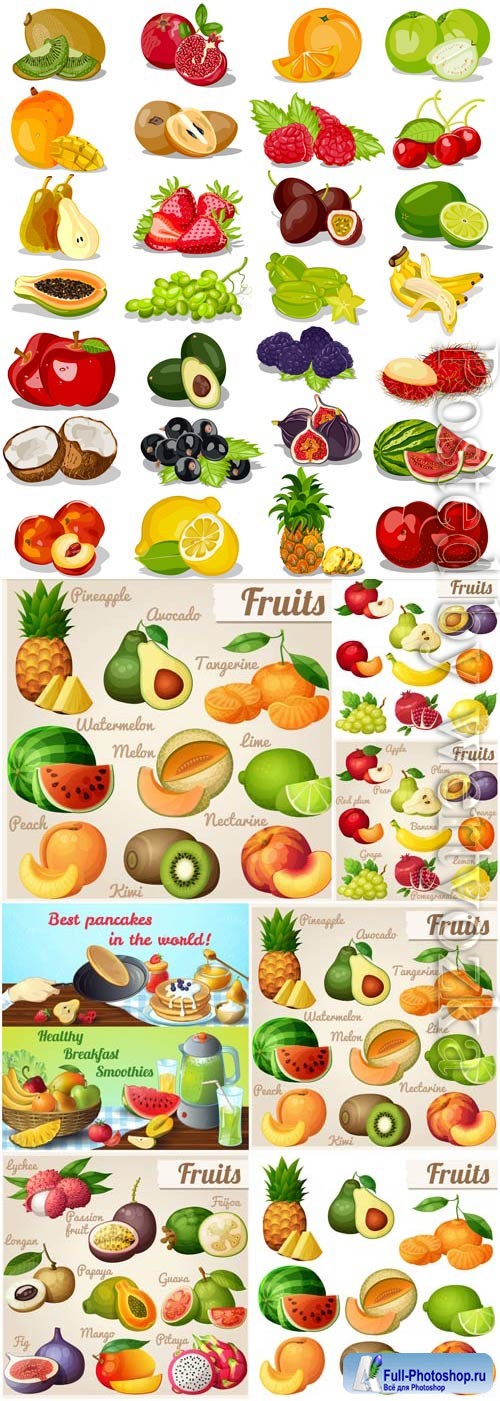 Set of tropical fruits and various berries in vector