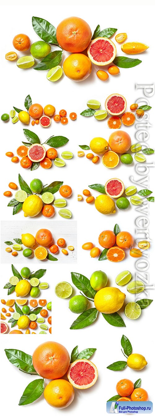 Oranges tangerines and lemons stock photo