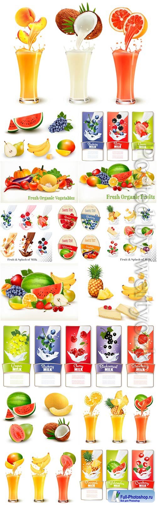 Fruit berries and fresh juices in vector