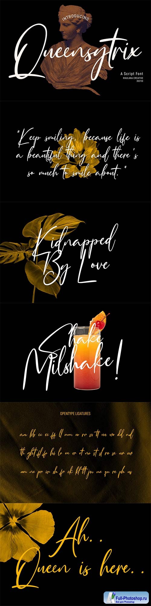 Queensytrix Signature Script Font