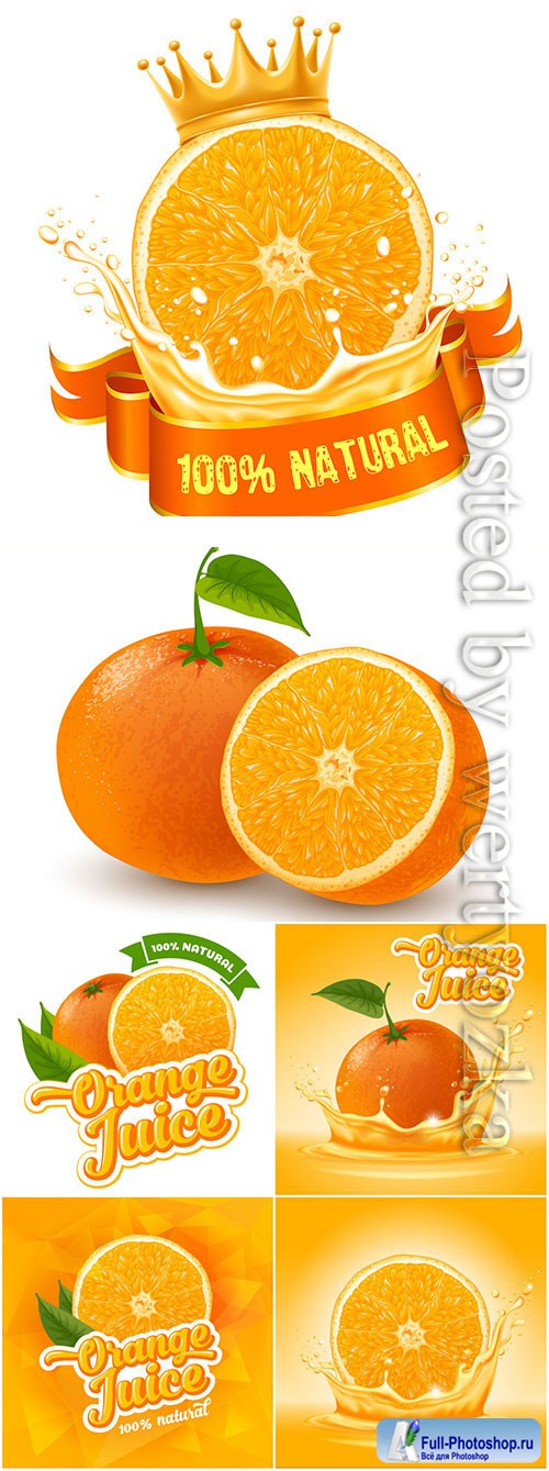 Orange and orange juice in vector