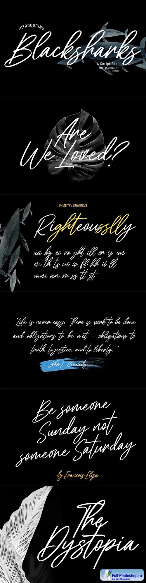 Blacksharks Script Font 6322740