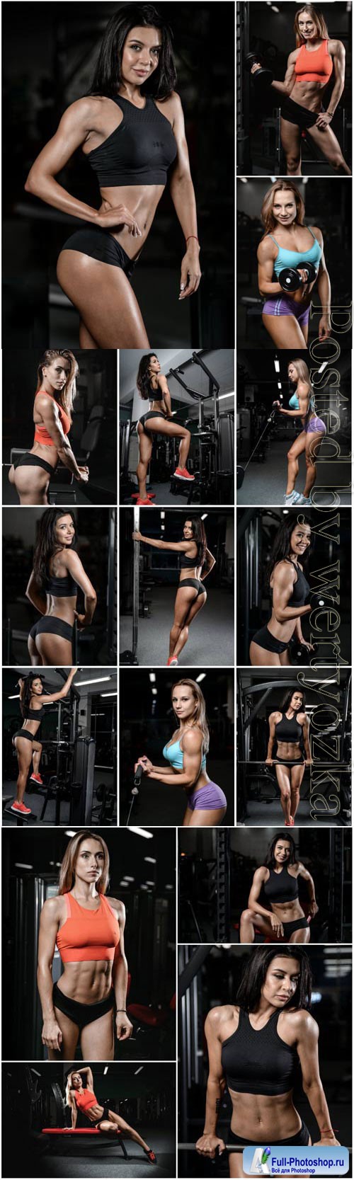 Sports girls with a beautiful figure in a gym stock photo