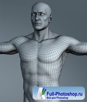 3D-модели людей