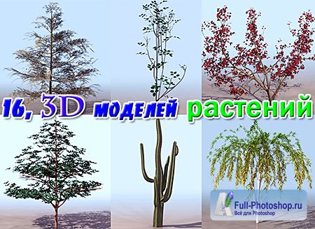 16, 3D моделей Растения