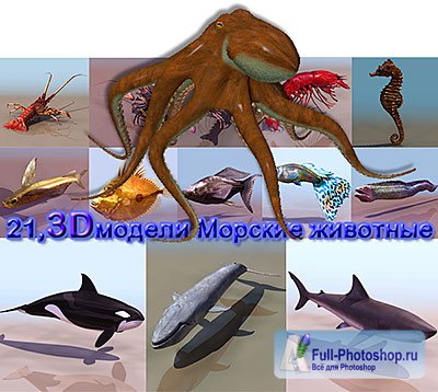 21, 3D модели Морские животные
