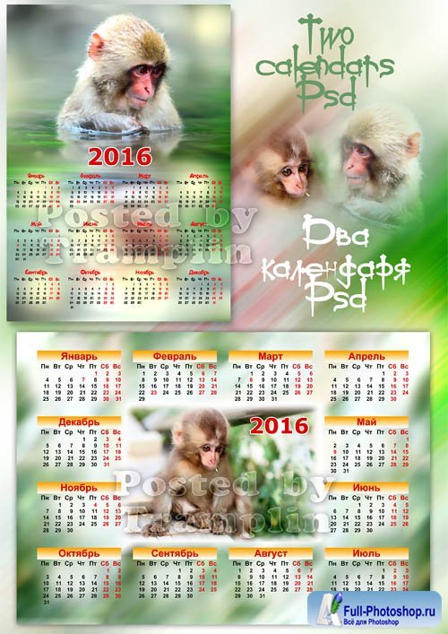 Календарь с обезьяной. Календарь 2016 года. Календарь 2016 год обезьяны. Календарь с обезьянами 2016.